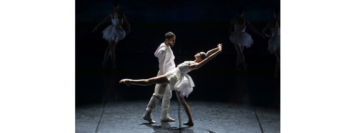 Le lac des Cygnes à la Maison de la Culture à Amiens